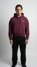 STSL® Cropped Hoodie – Saints Lost #2 (Burgundy) - STSL